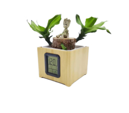 Y-807 Flower pot clock
